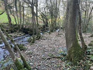 Photo 9- click for photo gallery